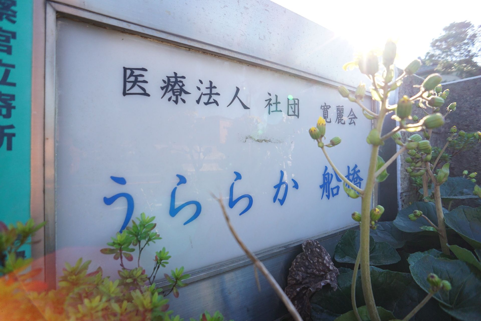 白色の背景に青色の文字で書かれた看板