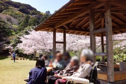 桜の下の休憩スペース
