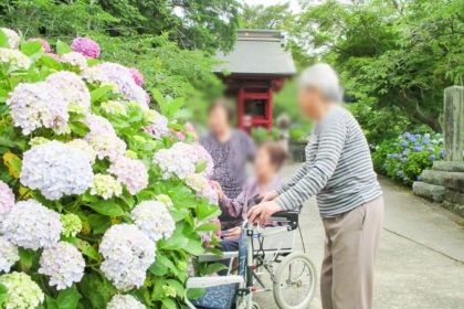 紫陽花と散策する人々