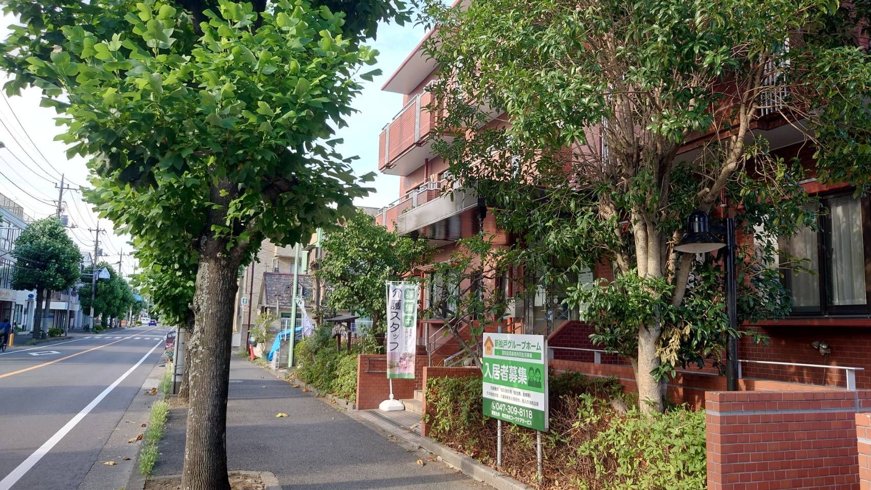 緑豊かな通り沿いの建物