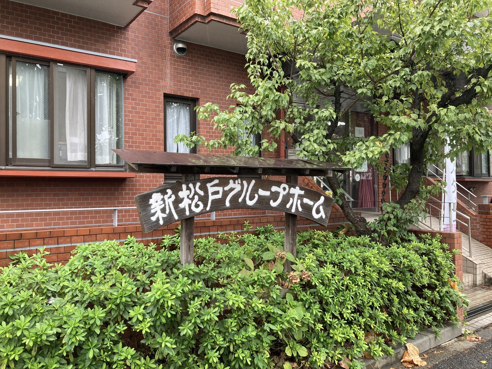 緑に囲まれた建物の入口