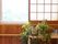 棚にポトスなどの観葉植物が数鉢置かれている。壁には手すりが設置されている。窓が開けられており、カーテンの代わりに障子窓がある。