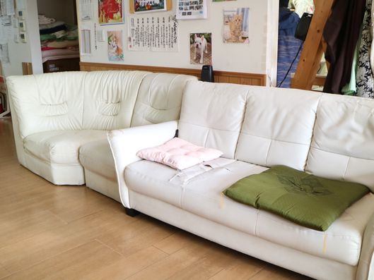 ソファスペース