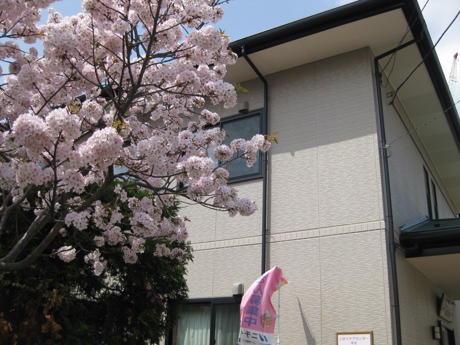 桜と建物の春景色
