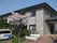 桜と建物の外観