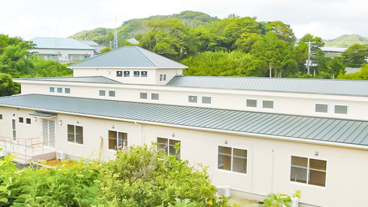 緑に囲まれた建物外観
