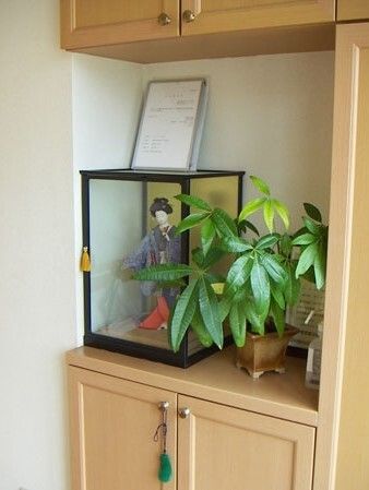 日本人形や観葉植物が飾られた靴箱の棚。上下に靴箱が設置されている。きれいに整理されている。