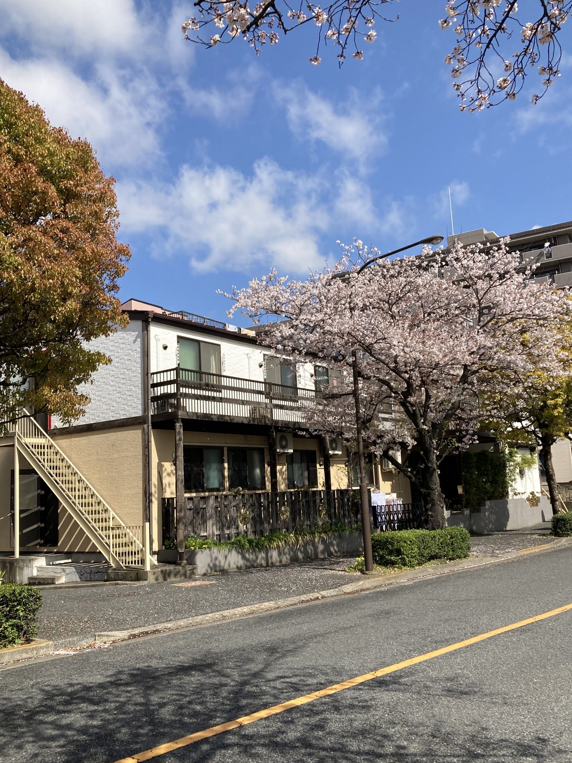 エプロンを付けた若い男女のスタッフに付き添われて屋外で何かを鑑賞している車いすの高齢の男女。