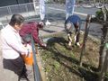 ニチイケアセンターみずえの写真