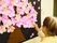 黒い大きな画用紙に貼られた茶色い幹に、立体的におられた桜の花が貼られている。高齢女性がその気に花を一つ足しているところ。