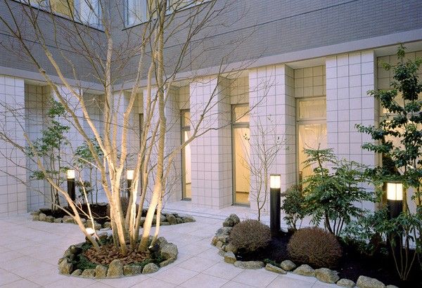 和やかな雰囲気の中庭