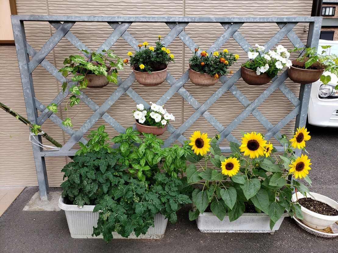 彩り豊かな植物のエントランス