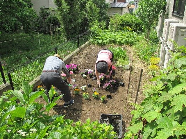 利用者の園芸活動風景