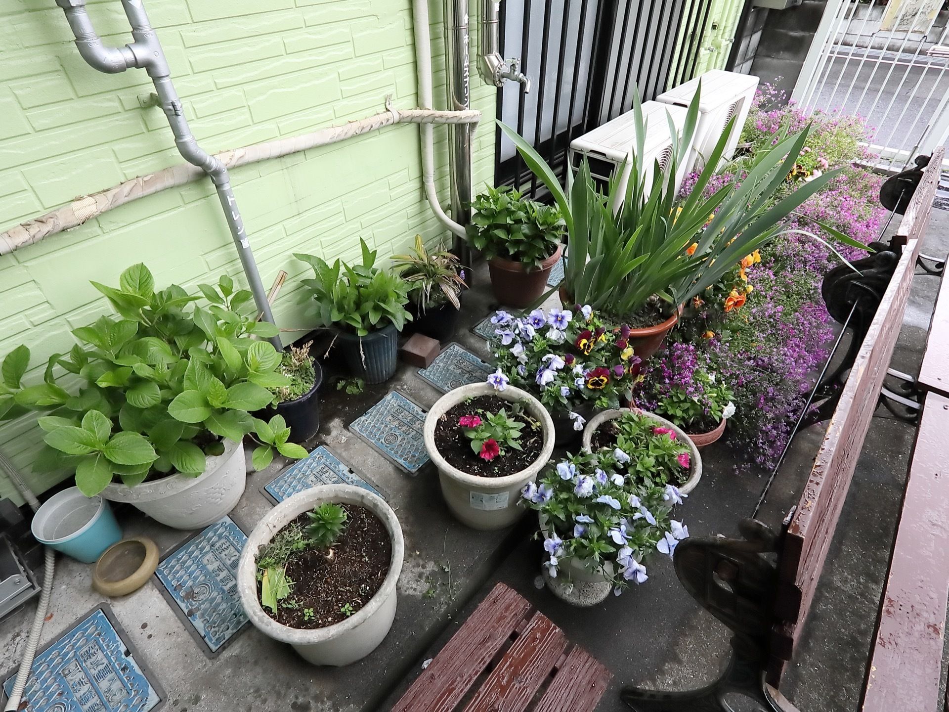 赤や黄や紫の花の咲く鉢植えが並ぶガーデニングスペース