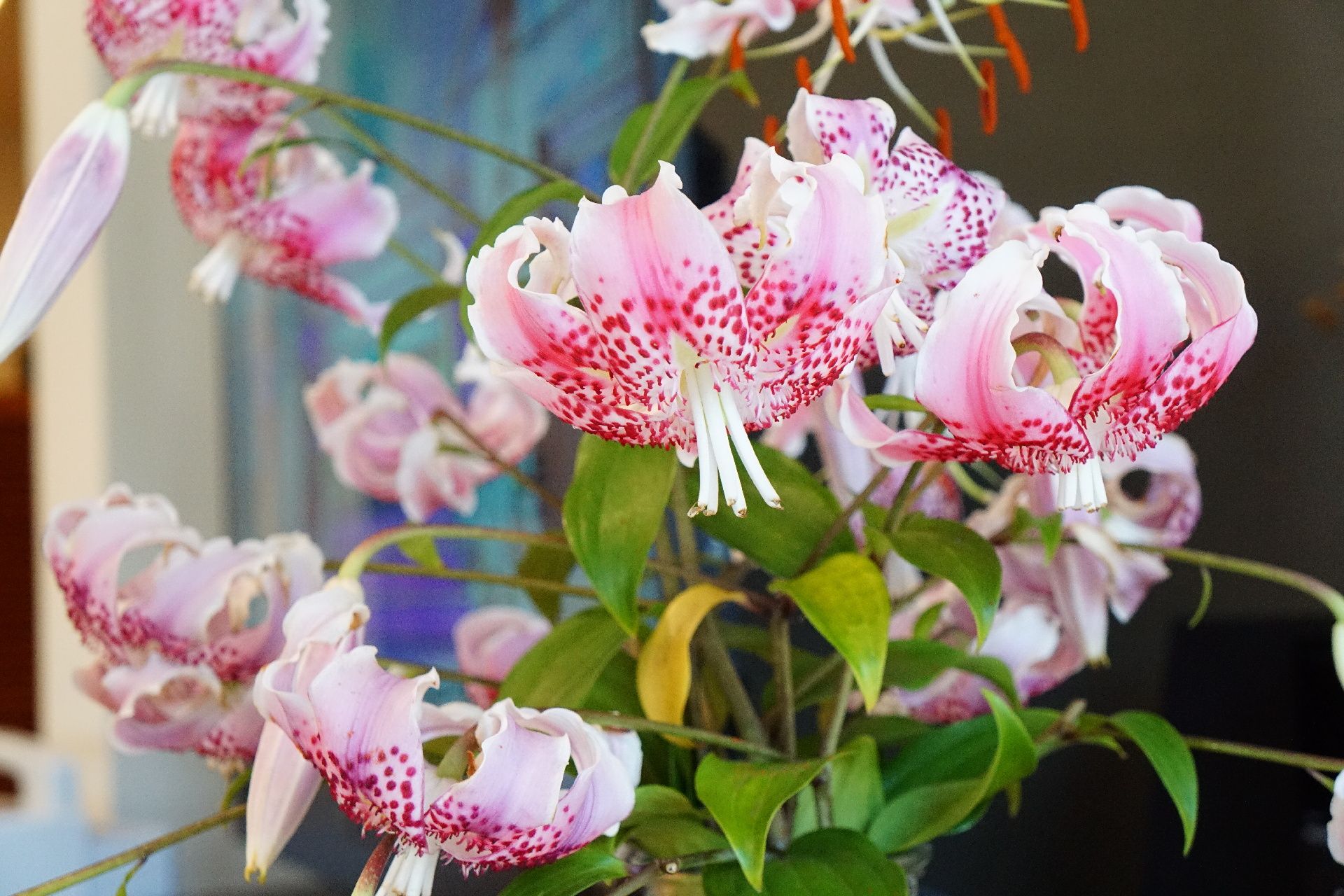館内の共有スペースに飾られている美しいピンク色の花