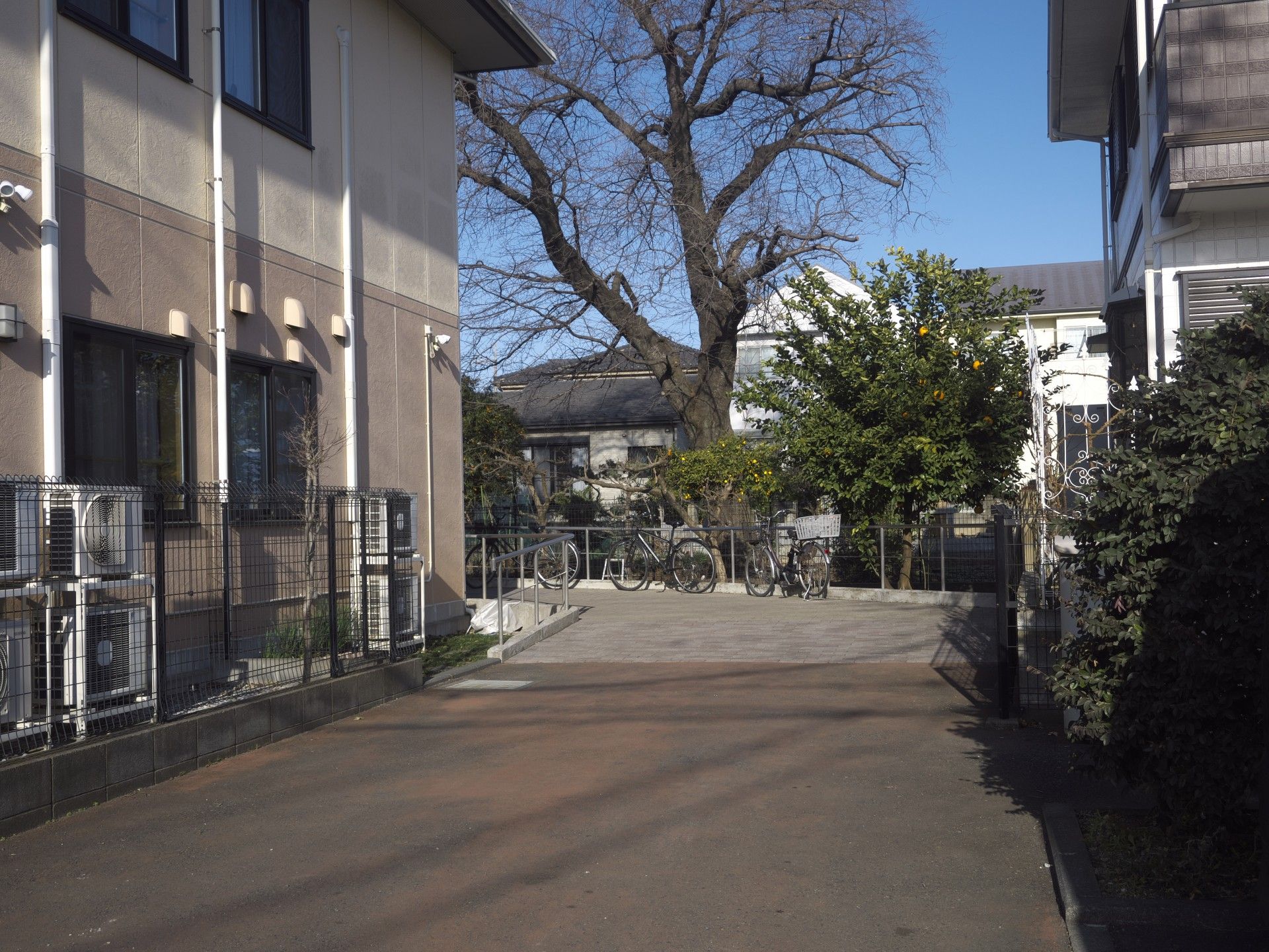 静かな中庭の風景