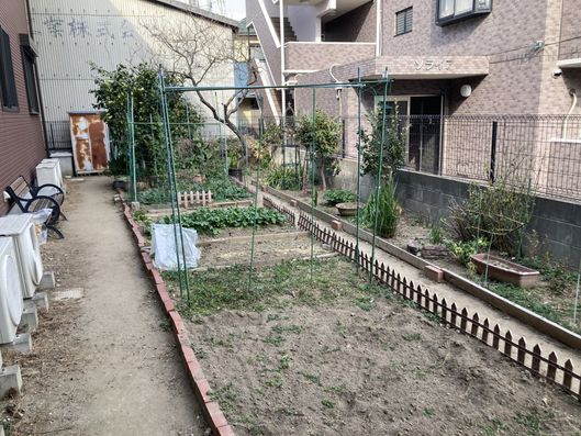 庭