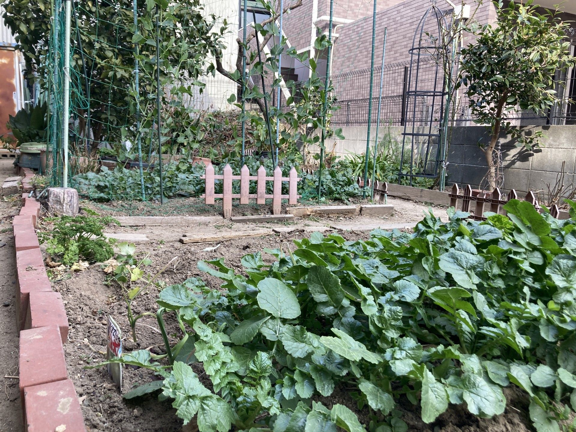 緑豊かな庭の一角