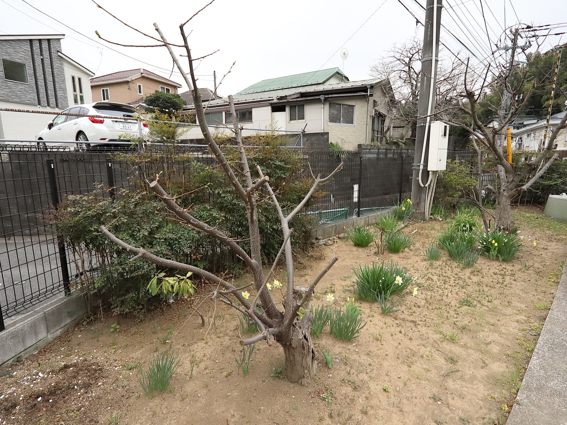 敷地は黒い鉄製のフェンスで囲まれている。敷地内には花壇があり、たくさんの樹木や植物が植えられている。