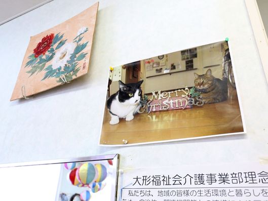 飾り