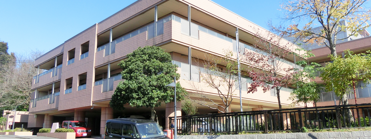 ゆったりとした建物外観
