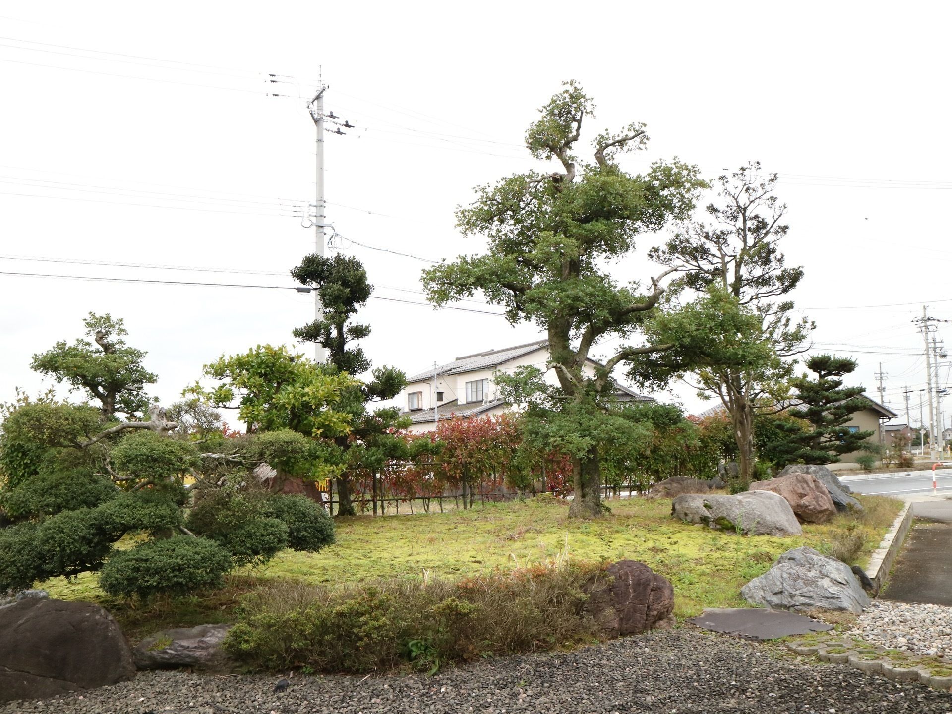 公道の手前に設置された庭園である。きれいに剪定された数本の庭木が、芝生と手前に配置された庭石とよくマッチしている。