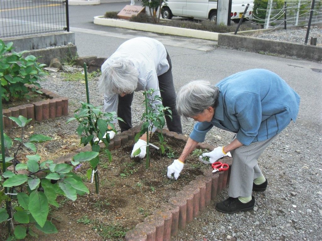 土いじりができる中庭の様子。植物を植えて手入れしている施設内の高齢者