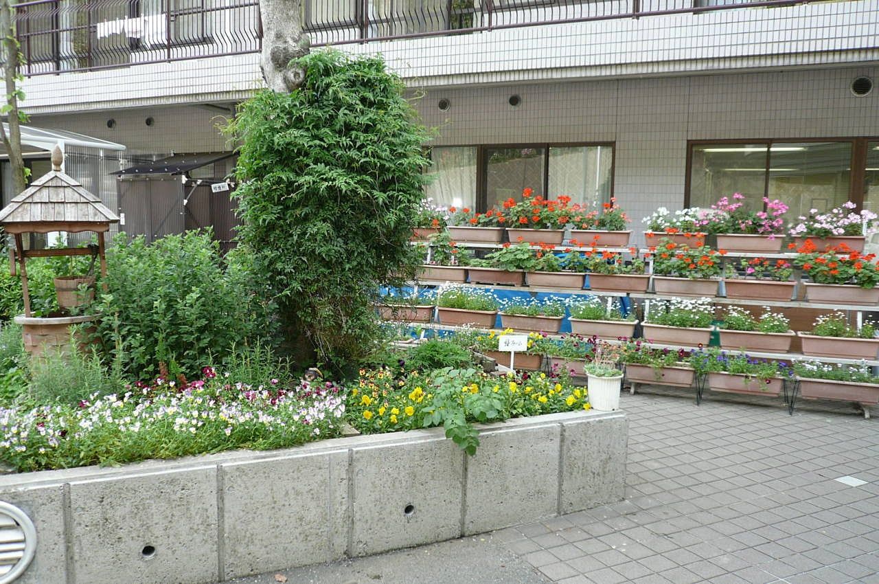 色とりどりの花壇