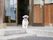 施設の玄関扉が開いており、入口前に１匹の犬が立っている。白い犬で、ピンク色の首輪をしている。犬の前は階段になっている。