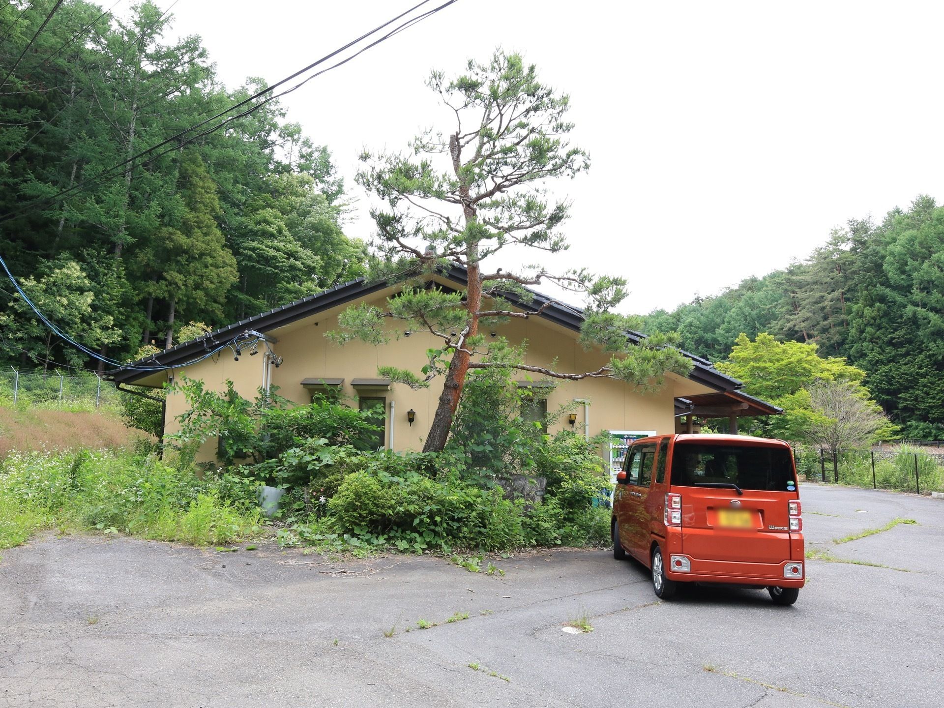 施設の建物は、自然豊かな環境に立地している。敷地は広く、一本の大きな木の周りに草木が植えられ、前に車が停まっている。