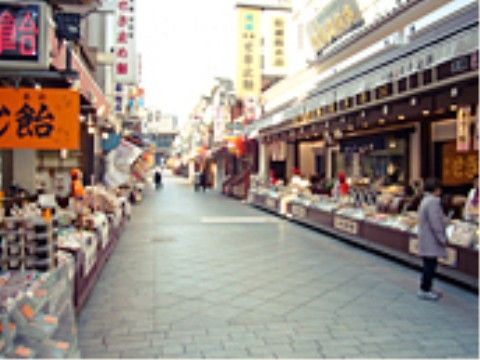 両脇にお店がたくさん並んだ広い通りがある。石を敷きつめたような道になっており、お店の看板や電光掲示板などが見える。