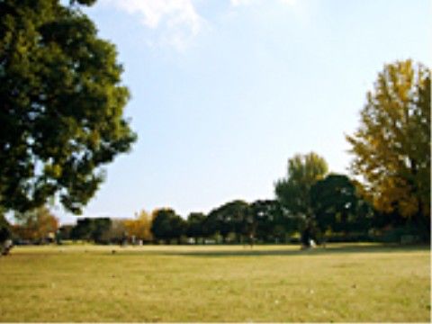 芝生が広がっており、まわりには木がたくさん植えてある。とても広い公園で近くには高い建物がなく、自然を感じられる。