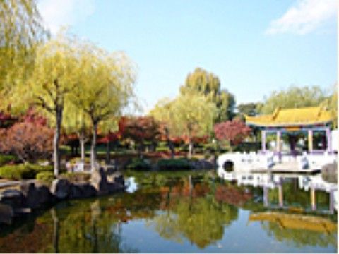 池の周りにはさまざまな木々が立ち並び、庭園が広がっている。池のほとりには、黄色の屋根が付いた神社のような建物がある。