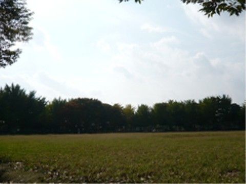 ホームから徒歩２分ほどの場所に、自然と触れ合える公園がある。入居者様が散歩を楽しむのにちょうどいい場所である。