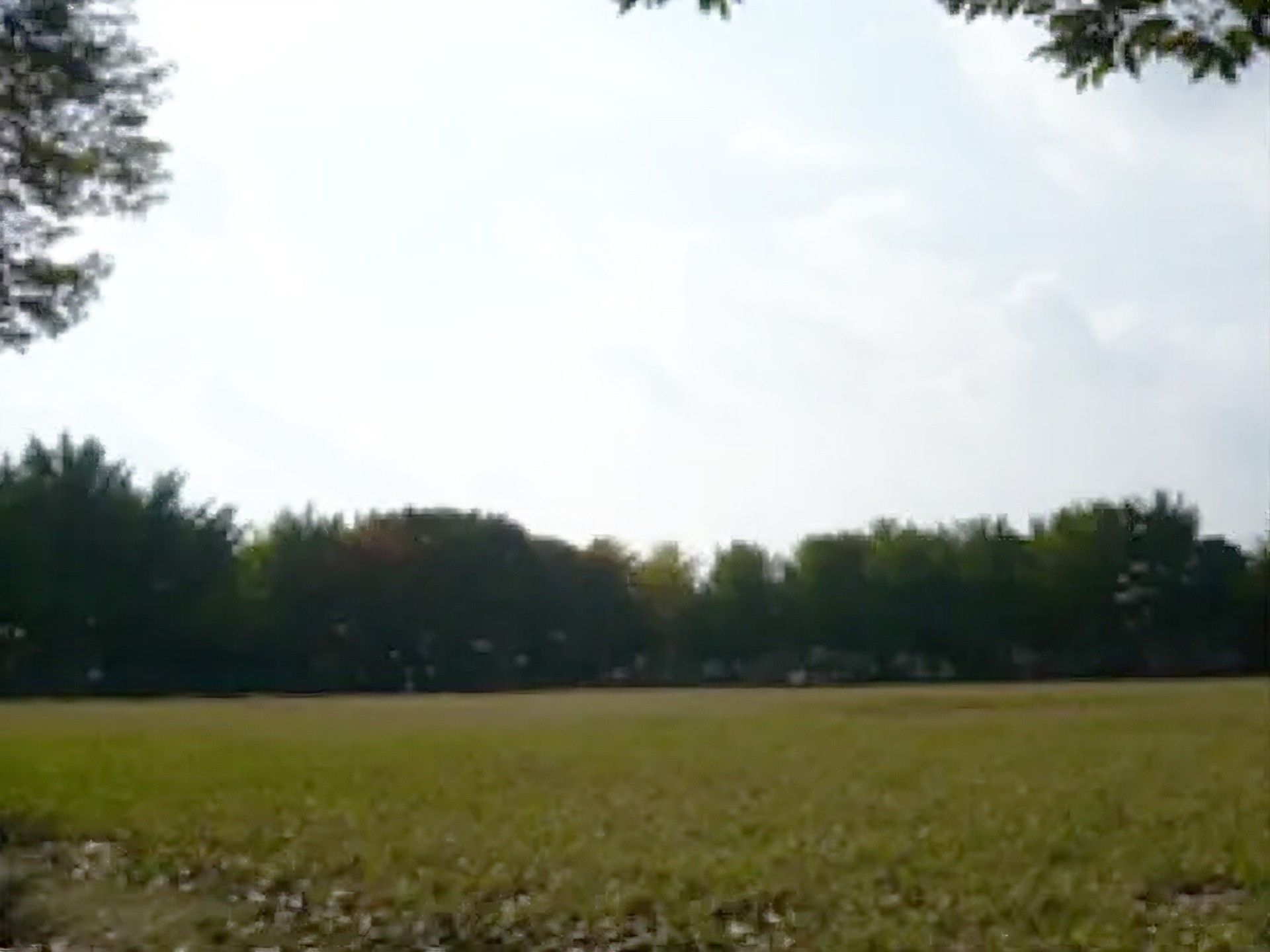 ホームから徒歩２分ほどの場所に、自然と触れ合える公園がある。入居者様が散歩を楽しむのにちょうどいい場所である。