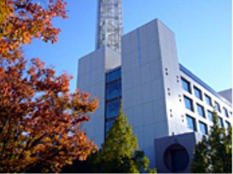 各種届出などが必要な場合も、駅前に出ると区役所があるため、買い物のついでなどに立ち寄ることができる。