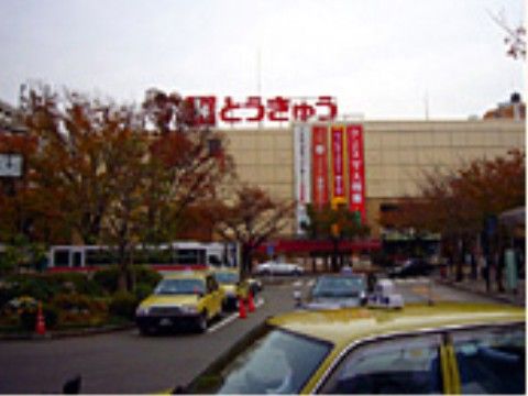 近隣には大きなショッピングモールがある。飲食店や衣料品などさまざまな店が揃っているので、ちょっとしたお出かけにおすすめである。