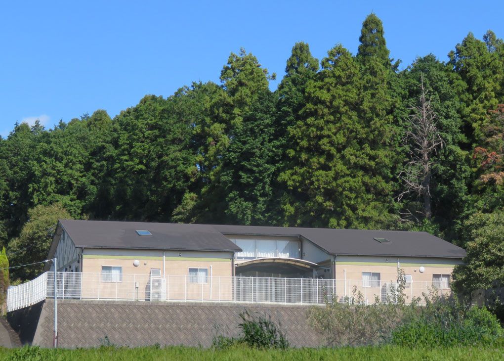 自然に囲まれた施設の外観