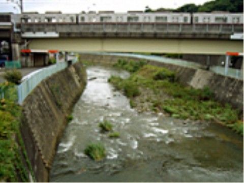 近隣では川の上に鉄橋が架かっており電車が走る姿を見ることができる。川のせせらぎを聴きながらのどかな風景を楽しめる。