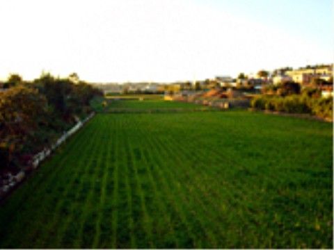 近くには眺めていると落ち着く田園風景が広がっている。また季節により風景が変化するので散歩をしながら楽しむこともできる。