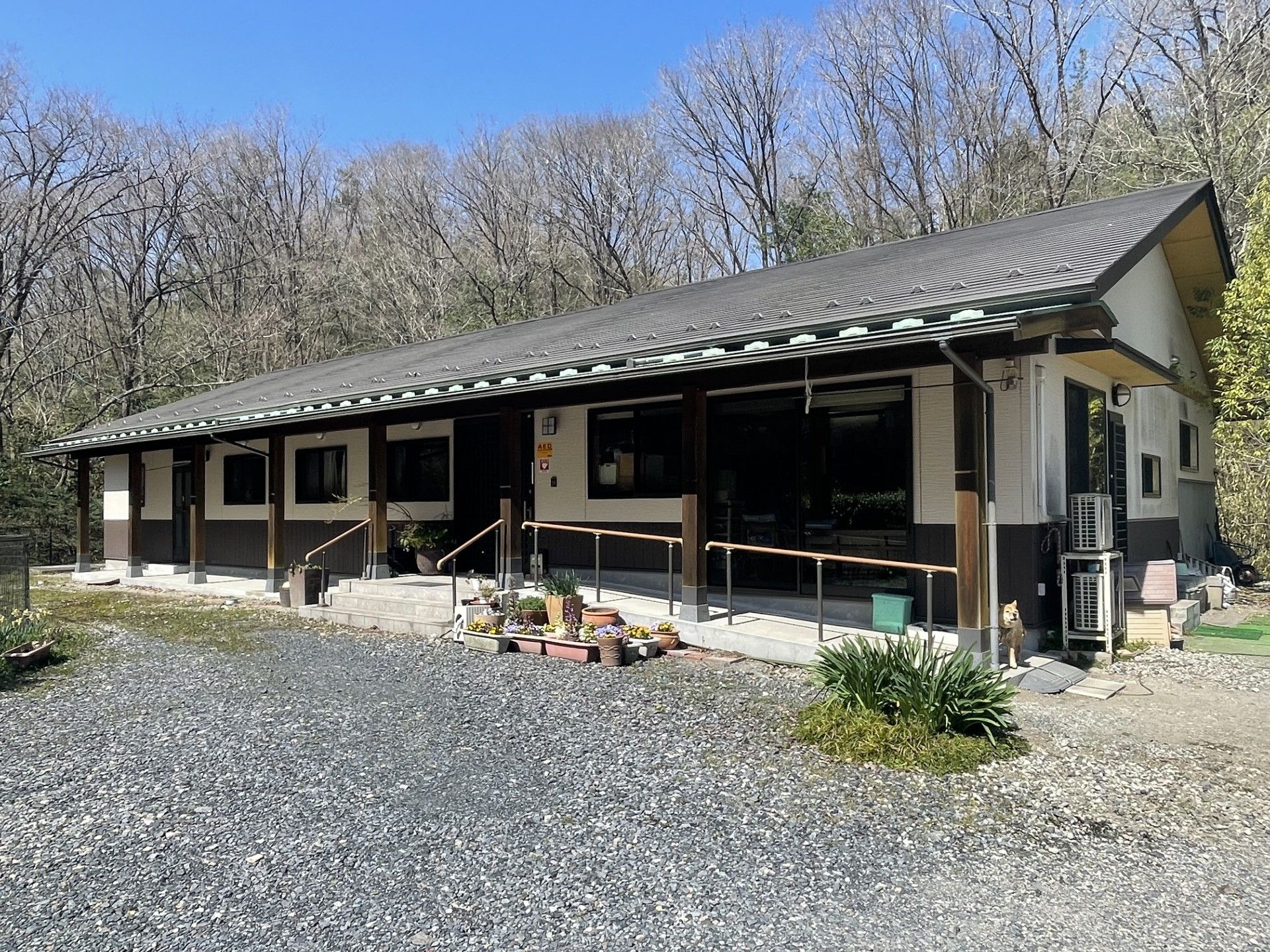 緑に囲まれた落ち着いた外観