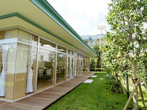 食堂のすぐ外にある、背の高い木が育ち、芝生が敷き詰められている庭園