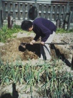 施設内の中庭で植物を植えている様子。土をほぐしている様子が写っている