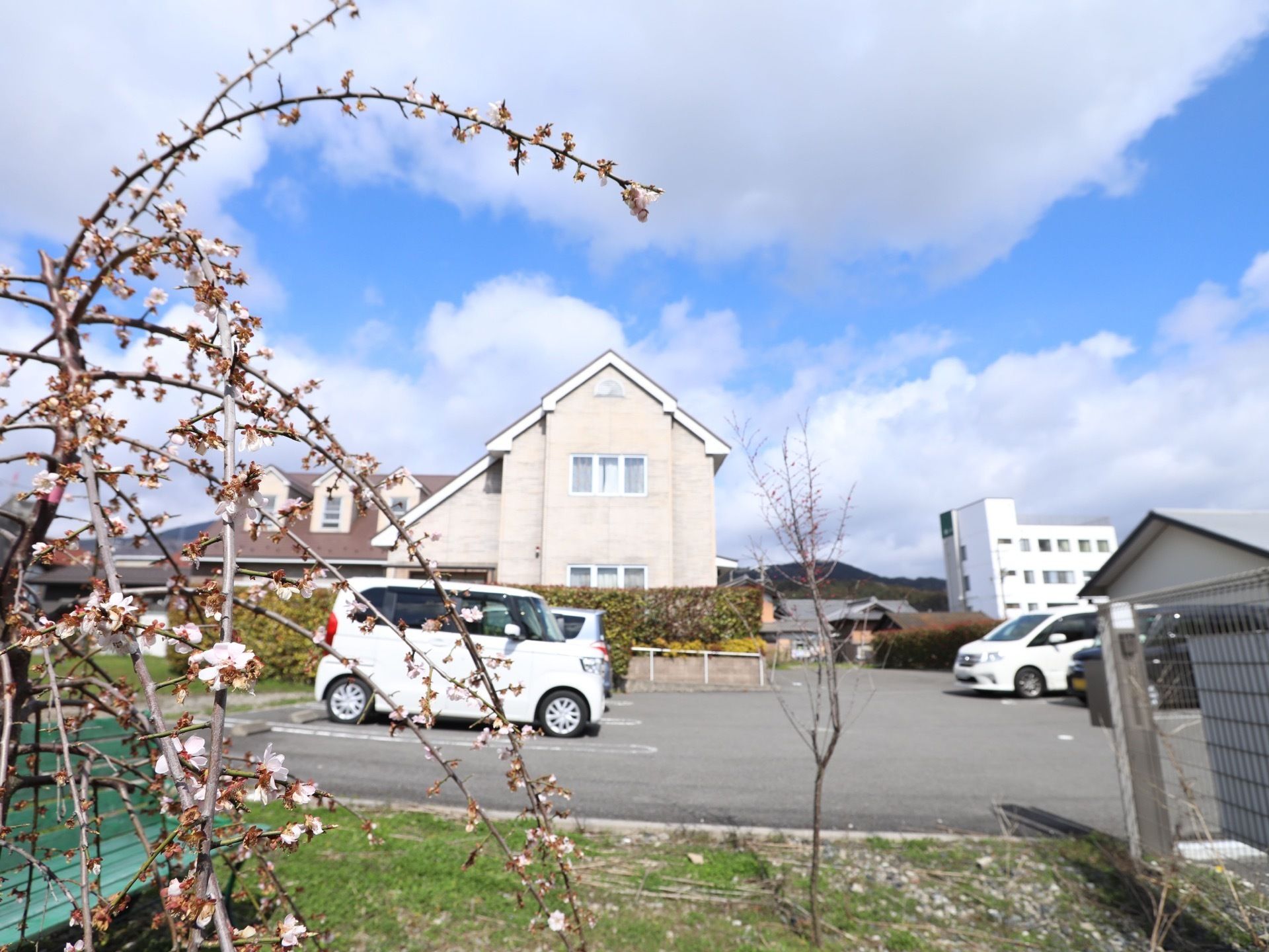 桜の木が植えられた、庭が完備されている。そばにグリーンのベンチが設置されているほか、駐車場も整備されてある。