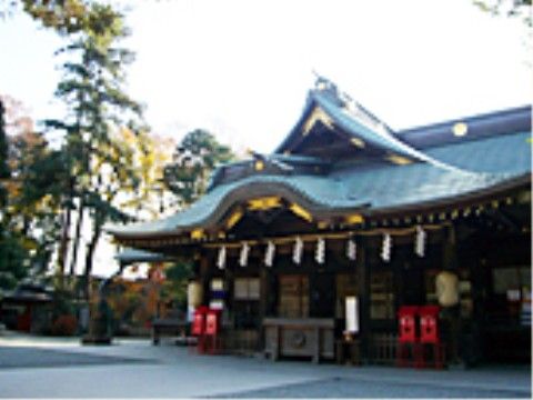 銅板葺きの切妻屋根の先端に鳳凰の装飾が設置された神社の境内である。その左側には松の高木があり、ご神木となっている。