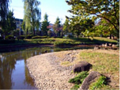 施設のそばにある公園には、大きな池がある。その周辺には、木や芝生、植物などがたくさん植えられている。