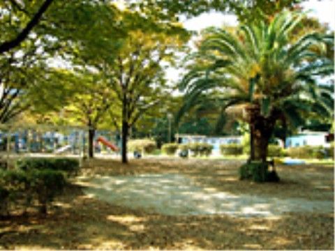 近くの公園には多くの木々が植わっていて、緑豊かな中を散歩することができる。木陰もあるので、ハイキング気分でみんなでお弁当を食べたりもできる。