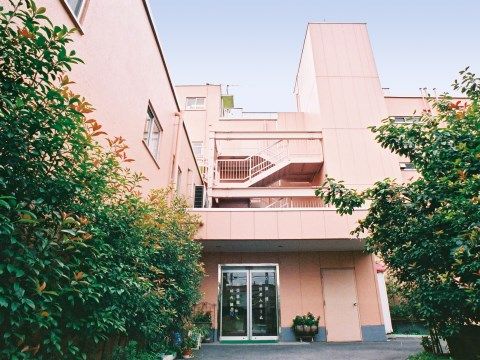 背の高い植栽が左右にあって、緑豊かな玄関付近の風景