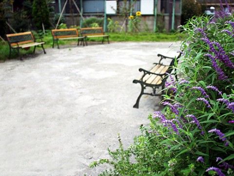 ガーデンベンチが４つ置かれ、紫色の花が咲いている庭園