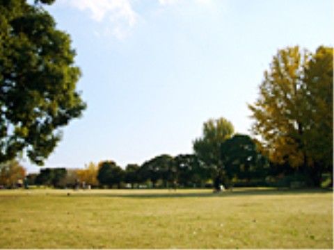 徒歩圏内に大きな公園があり、ご家族の方や仲良しの入居者様との散歩や花見など、季節を感じられるスポットが近隣に点在している。